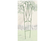 �������  ���������������.jpg