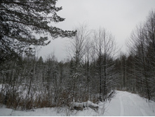 DSCN4257.JPG