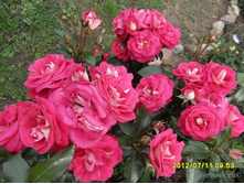 ������������ (���),2,95���.jpg