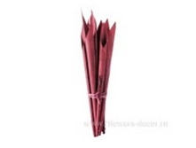 image258 - ����� - ����� - �����.png