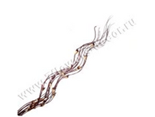 image238 - ����� - ����� - �����.png