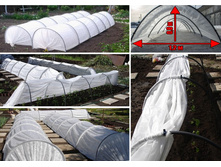 ������ ����������.jpg