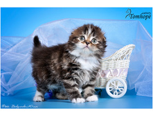 getImage ���� 2.jpeg