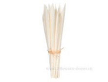 image253 - ����� - ����� - �����.png