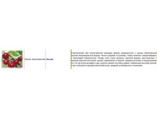 ����� ������.jpg