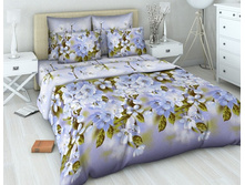 39_358 3866-1 ��� 2�� �������� ���� ����.jpg