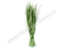 image232 - ����� - ����� - �����.png