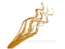 image187 - ����� - ����� - �����.png