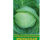 ������� ������ ��������