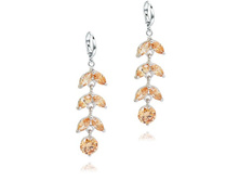 T1108005 -270���..jpg