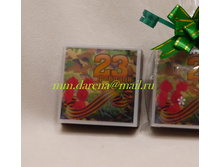 23 ������� (5)