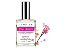 ���� "�������� ����" (Plum Blossom), ������� df068