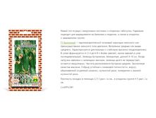 F1 ���������.png