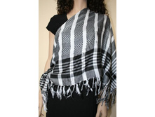 ������ SL-12-1 �-�