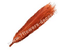 image268 - ����� - ����� - �����.png