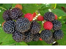 ������� ������� 2�� � ��  3,24���� �� ��.jpg