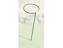 ����� ��� ������ �������.jpg