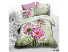 97-224 067 ��� ���� ����� 3D.jpg