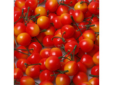 ������� ������-������ 10 ��. � �������� ,���. 0599-10 153 �.jpg