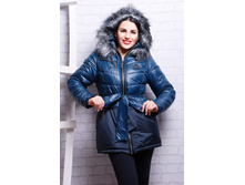 ������ SP ����������