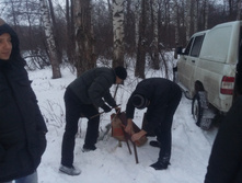 20150125_161932.jpg