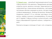 ������ �����.png