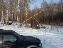 20150117_134052.jpg