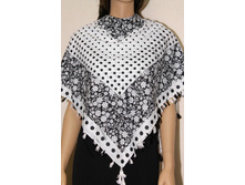 ������ SH-24