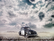 P20173- 1150 ���.