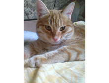 �������� 14-3.jpg