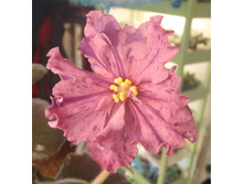 ��-��������� � ������.jpg