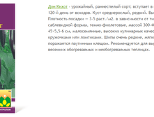 ��� �����.png