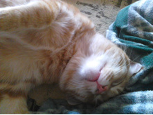 ������ 14 -2.jpg