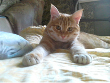 �������� 14-4.jpg