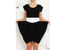 ������ BF-W-0301 1100 �.