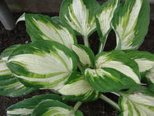 ����������*