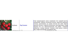 ��� �������.jpg