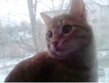 ������� 14-2.jpg