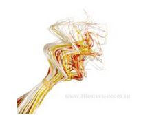 image145 - ����� - ����� - �����.png