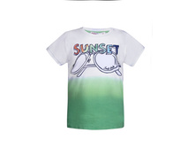 �������� ��� ���������	BBS13-37514