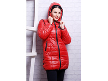 ������ SP �������� �������.jpg