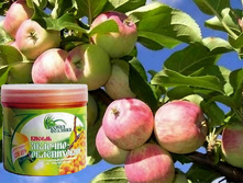 ������ �������-�����������