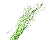 image169 - ����� - ����� - �����.png