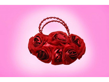 ������� ��� ������� ������� ��������� ����� ���.SR-2.jpg