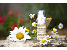 ����������� �������� �������� ��� ���������� ���� ���� �������, ���� 230���.