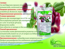 ������������ ����������