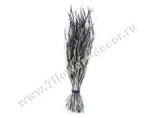 image234 - ����� - ����� - �����.png