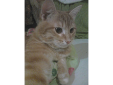 ������� 14-4.jpg