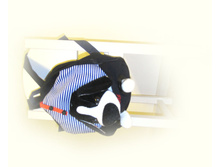 ������ � ��������.jpg