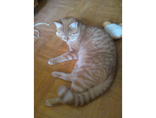 ������� 14-6.jpg